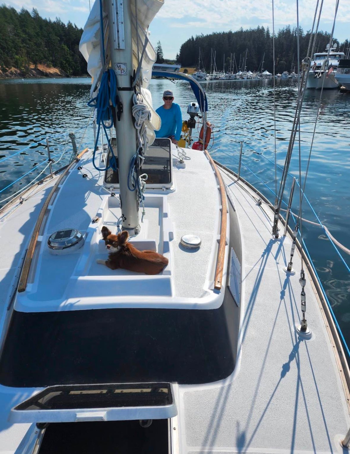 1976 Dufour 31 thumbnail